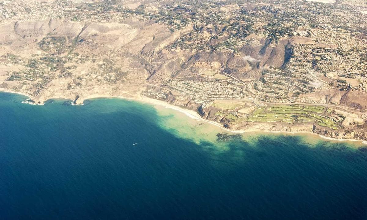 कोरिया और भारत के बीच संबंध मजबूत: नवीनतम विकास